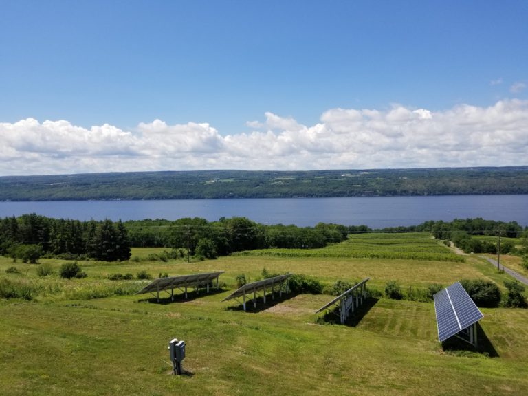 Seneca Lake on a summer day