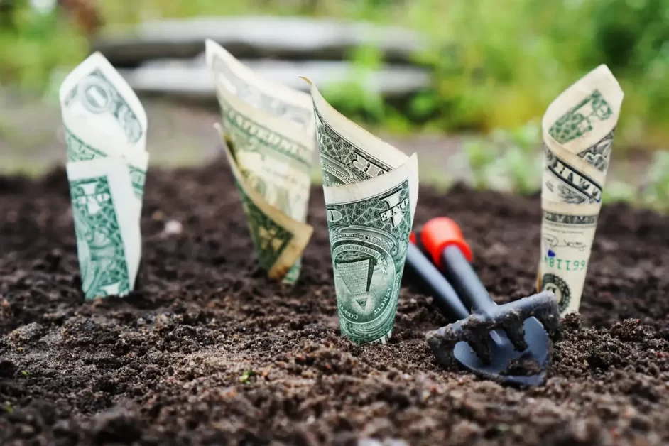 Dollar bills growing from soil, symbolizing financial growth and wealth building in the middle class